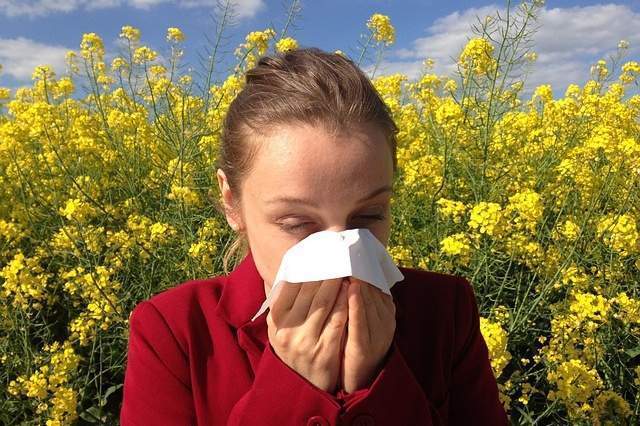 Você está visualizando atualmente Alergias: 7 Possíveis Causadores, Sintomas, Diagnóstico, Tratamentos e Prevenção
