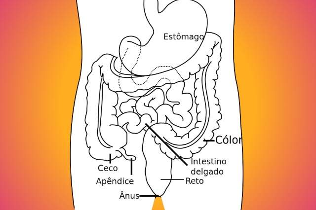 Patologias do Sistema Digestivo